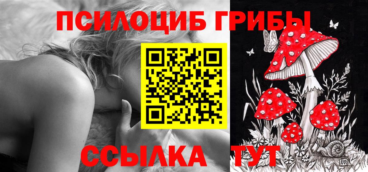 Псилоцибиновые грибы Cubensis Нальчик