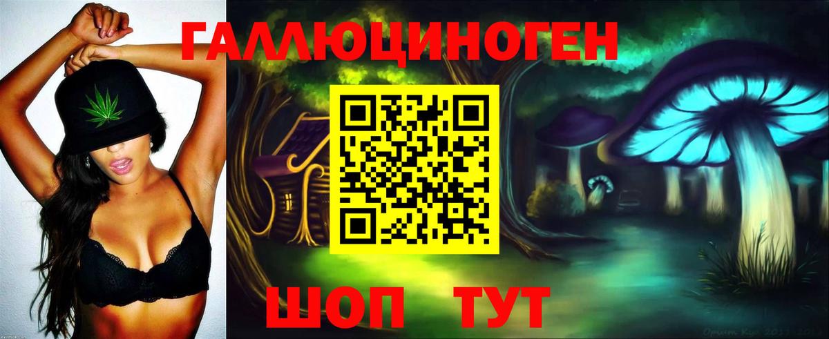 Псилоцибиновые грибы GOLDEN TEACHER  Галлюциногенные грибы Cubensis  Вход с VPN  Нальчик 